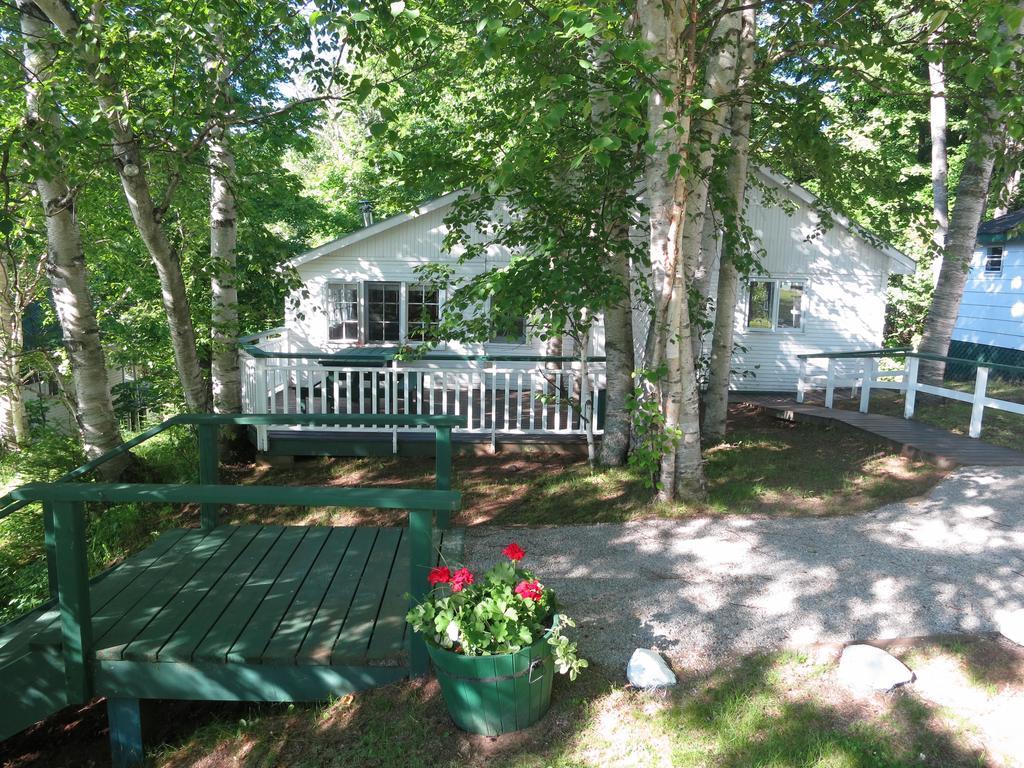 Birch Cliff Lodge On Baptiste Lake Highland Grove Camera foto